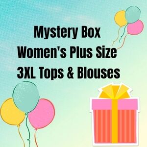 Not So Mystery Mystery Box of 5 Women's Plus Size 3xl Tops